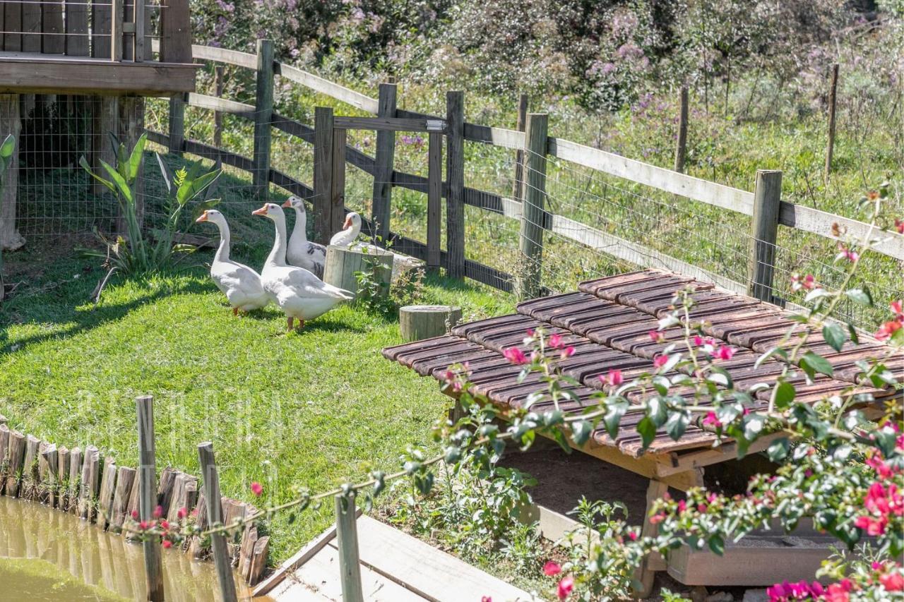 Villas Mornas Espaco De Eventos E Hospedagem Boutique Aguas Mornas Екстериор снимка